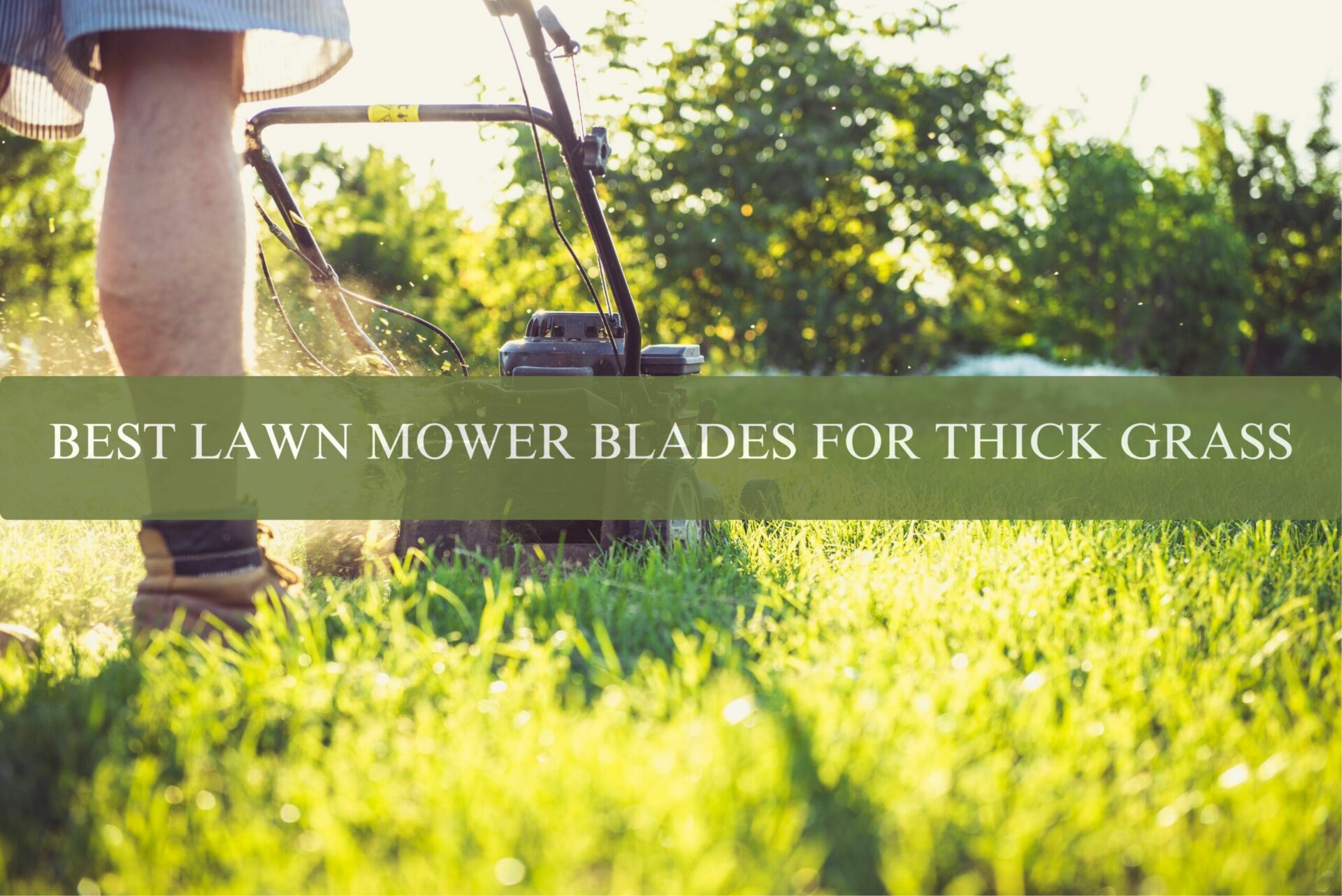 BEST LAWN MOWER BLADES FOR THICK GRASS