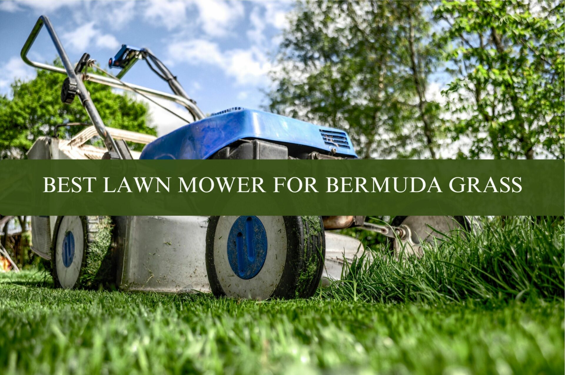 BEST LAWN MOWER FOR BERMUDA GRASS